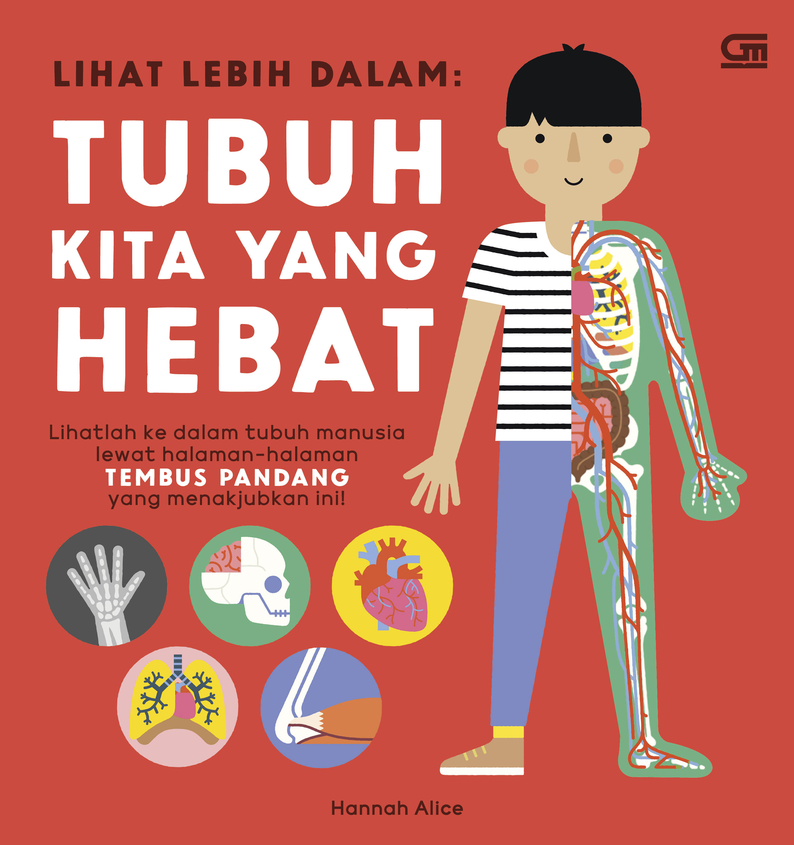 Lihat Lebih Dalam: Tubuh Kita yang Hebat