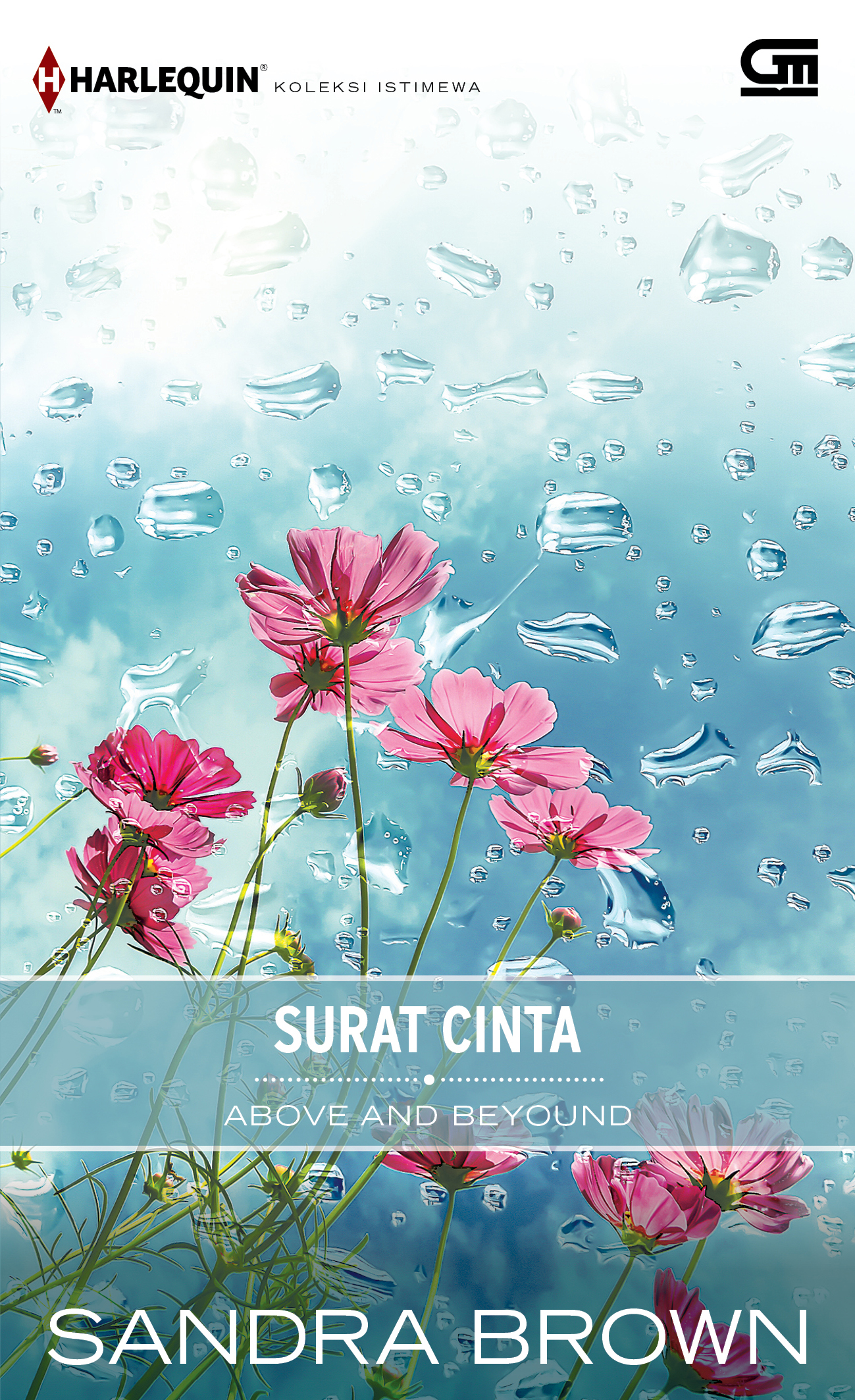 Harlequin Koleksi Istimewa: Surat Cinta (Above and Beyond)