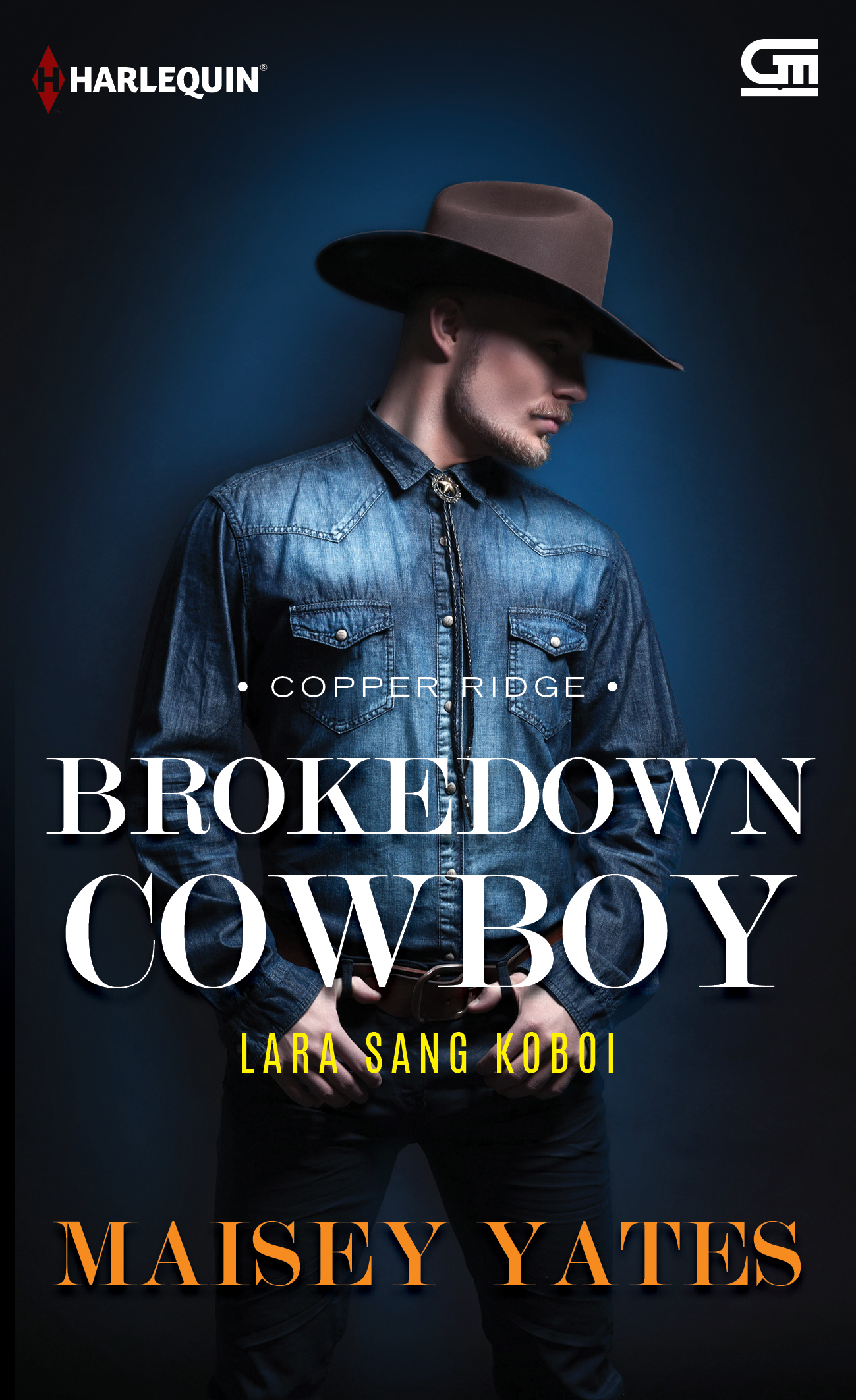 Harlequin: Lara Sang Koboi (Brokedown Cowboy)