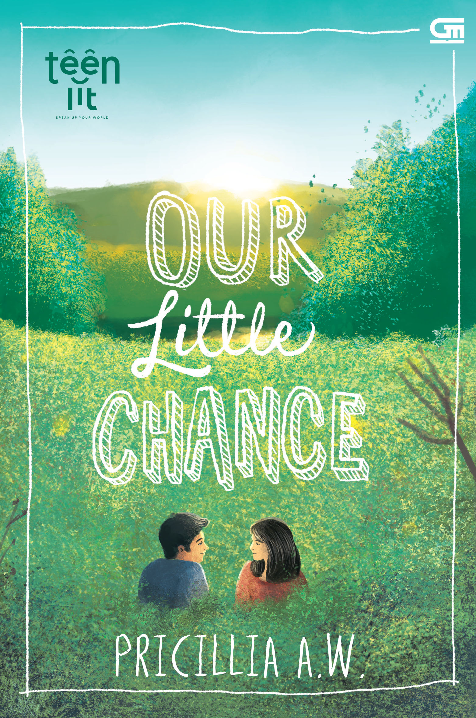 TeenLit: Our Little Chance