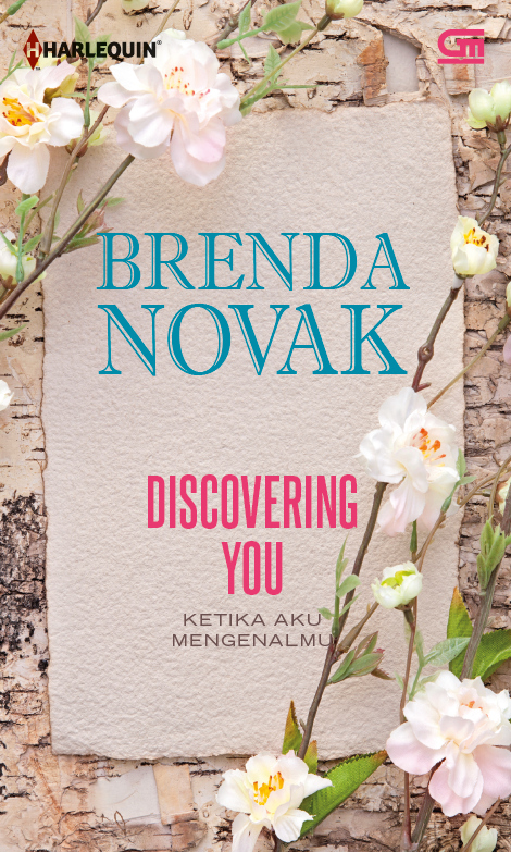 Ketika Aku Mengenalmu (Discovering You)