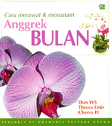 Cara Merawat dan Menanam Anggrek Bulan