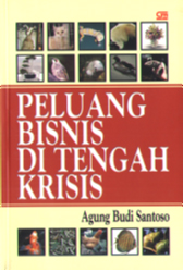 Peluang Bisnis di Tengah Krisis