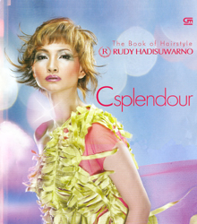Csplendour The Book of Hairstyle
