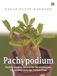 Pachypodium