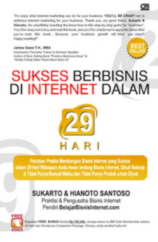 Sukses Berbisnis di Internet dalam 29 Hari