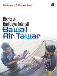 Bisnis dan Budi Daya Intensif Bawal Air Tawar