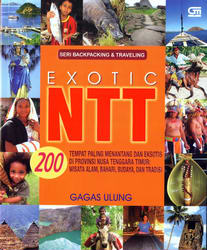 Exotic NTT