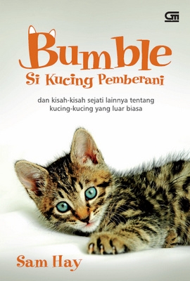 Bumble: Si Kucing Pemberani
